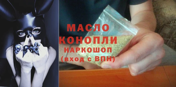 мдпв Елабуга
