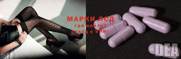 мдпв Елабуга