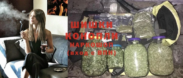 мдпв Елабуга