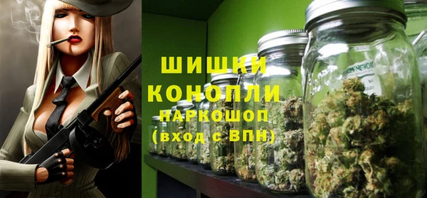 мдпв Елабуга