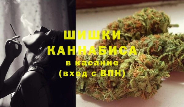 мдпв Елабуга
