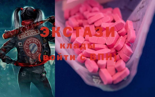 мдпв Елабуга