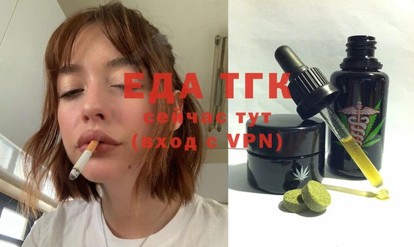 мдпв Елабуга